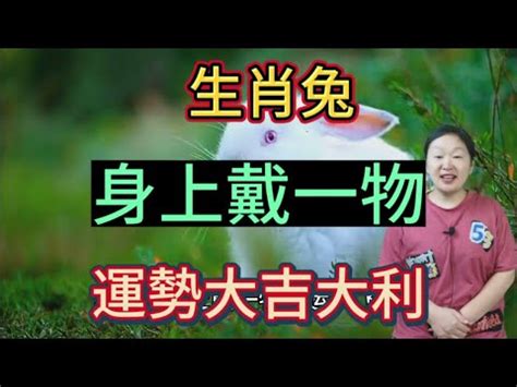 屬兔座向|屬兔的人住什麼房子、樓層、方位最吉利？準的離譜！。